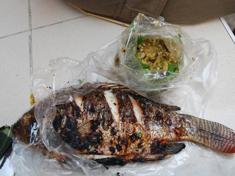 Grilled fish